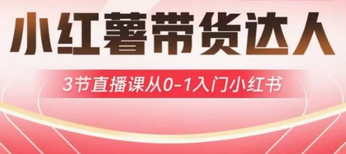 小红薯达人带货启航计划,3节直播课从0-1入门小红书-网创星球