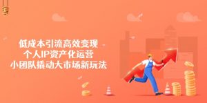 低成本引流高效变现,个人IP资产化运营,小团队撬动大市场新玩法-网创星球