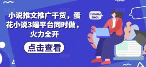 小说推文推广干货,蛋花小说3端平台同时做,火力全开-网创星球