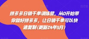 拼多多日销千单训练营,从0开始带你做好拼多多,让日销千单可以快速复制(更新25年3月)-网创星球