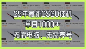 25年最新CSGO挂机系统,单日1000+,无需电脑,无需养号,0基础可上手-网创星球