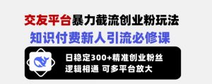 交友平台暴力截流创业粉玩法,知识付费新人引流必修课,日稳定300+精准创业粉丝,逻辑相通可多平台放大-网创星球