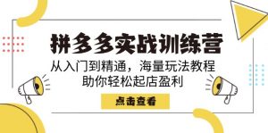 拼多多实战训练营，从入门到精通，海量玩法教程，助你轻松起店盈利-网创星球