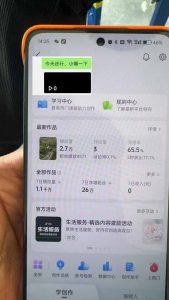 抖音暴力涨粉技术:一天轻松1-10万粉,技术不确定真实性,自测-网创星球
