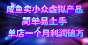 咸鱼卖小众虚拟产品,简单易上手,单店一个月利润破W-网创星球