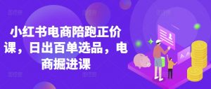小红书电商陪跑正价课,小红书官方认证电商讲师教学,日出百单选品,电商掘进课-网创星球