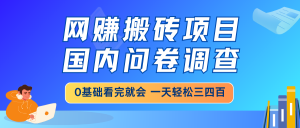 网赚搬砖项目,国内问卷调查,0基础看完就会 一天轻松三四百,靠谱副业...-网创星球