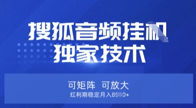 【搜狐音频挂G】独家技术,可矩阵可放大,红利期稳定月入8k【揭秘】-网创星球