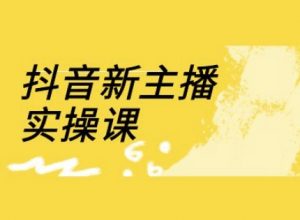 抖音新主播实操课,直播间流量运营线上实操课(18节)-网创星球