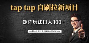 taptap拉新自刷项目，一个新用户14元，矩阵玩法日入300+-网创星球