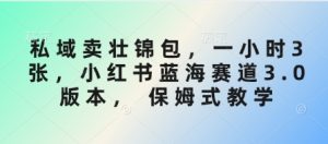 私域卖壮锦包,一小时3张,小红书蓝海赛道3.0版本, 保姆式教学-网创星球