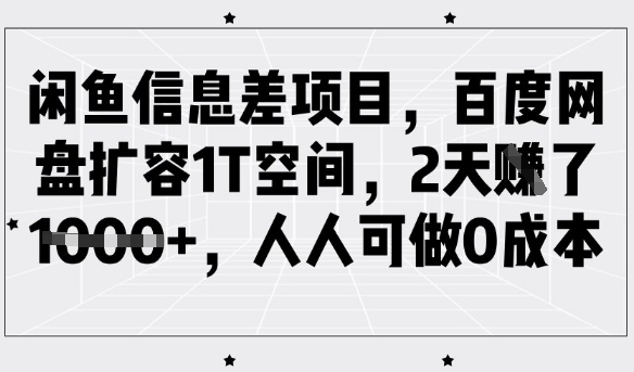 闲鱼信息差项目,百度网盘扩容1T空间,2天收益1k+,人人可做0成本-网创星球