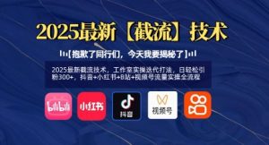 2025最新截流技术,工作室实操迭代打法,日轻松引粉300+,抖音+小红书+B站+视频号流量实操全流程-网创星球