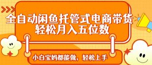 全自动闲鱼托管式电商带货 轻松实现月入五位数-网创星球