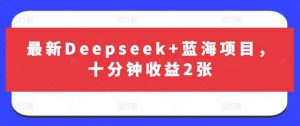 最新Deepseek+蓝海项目,十分钟收益2张-网创星球