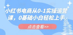 小红书电商从0-1实操运营课,0基础小白轻松上手-网创星球