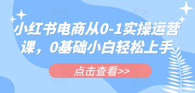 小红书电商从0-1实操运营课,0基础小白轻松上手-网创星球