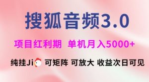 搜狐音频挂ji3.0.可矩阵可放大,独家技术,稳定月入5000+【揭秘】-网创星球