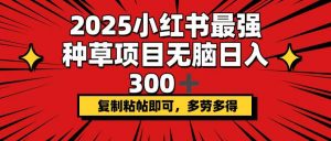2025小红书最强种草项目，无脑日入300+，复制粘帖即可，多劳多得-网创星球