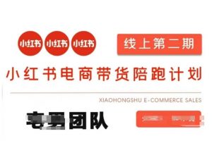 小红书电商带货课2期,月利润20个的小红书电商的有货源,无货源,虚拟产品,付费投流等整套玩法-网创星球