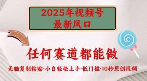2025年视频号新风口,低门槛只需要无脑执行-网创星球