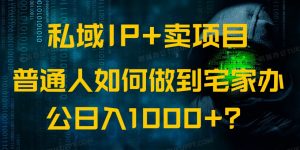 私域IP+卖项目,普通人如何做到宅家办公实现日入1000+-网创星球