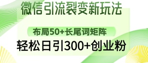 微信引流裂变新玩法:布局50+长尾词矩阵,轻松日引300+创业粉-网创星球