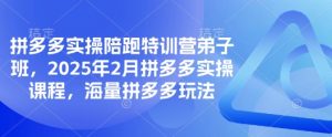 拼多多实操陪跑特训营弟子班，2025年2月拼多多实操课程，海量拼多多玩法-网创星球