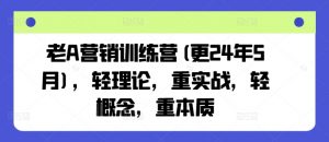 老A营销训练营(更25年3月),轻理论,重实战,轻概念,重本质-网创星球