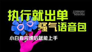 爆火全网的开车导航骚气语音包,只要执行就出单,小白看完课程就能实操...-网创星球