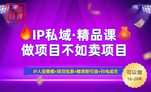 2025年“IP私域·密训精品课”,日赚3000+小白避坑年赚百万,暴力引流...-网创星球