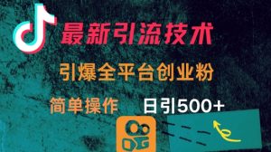 最新引流方法，引爆全平台的一个创业粉，简单操作日引300+-网创星球