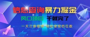 信息查询暴力掘金，一天三条视频，轻松变现四位数，风口项目干就完了【揭秘】-网创星球