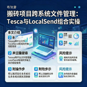 搬砖项目跨系统文件管理:Tessoa与LocalSend组合实操-网创星球