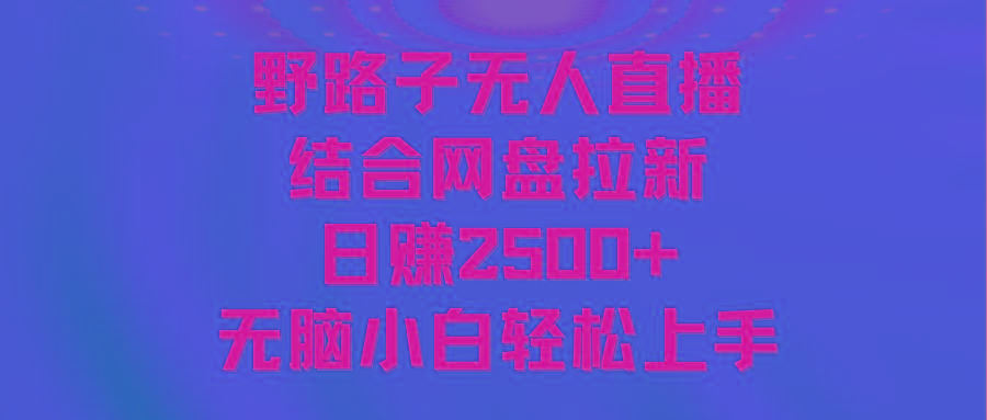 无人直播野路子结合网盘拉新，日赚2500+多平台变现，小白无脑轻松上手操作-网创星球