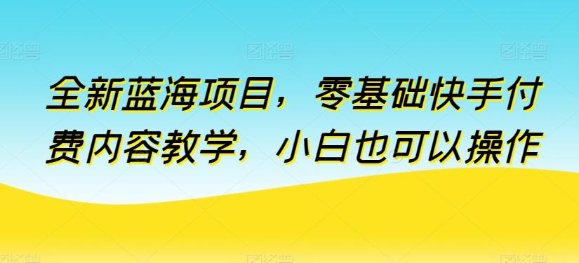全新蓝海项目，零基础快手付费内容教学，小白也可以操作【揭秘】-网创星球