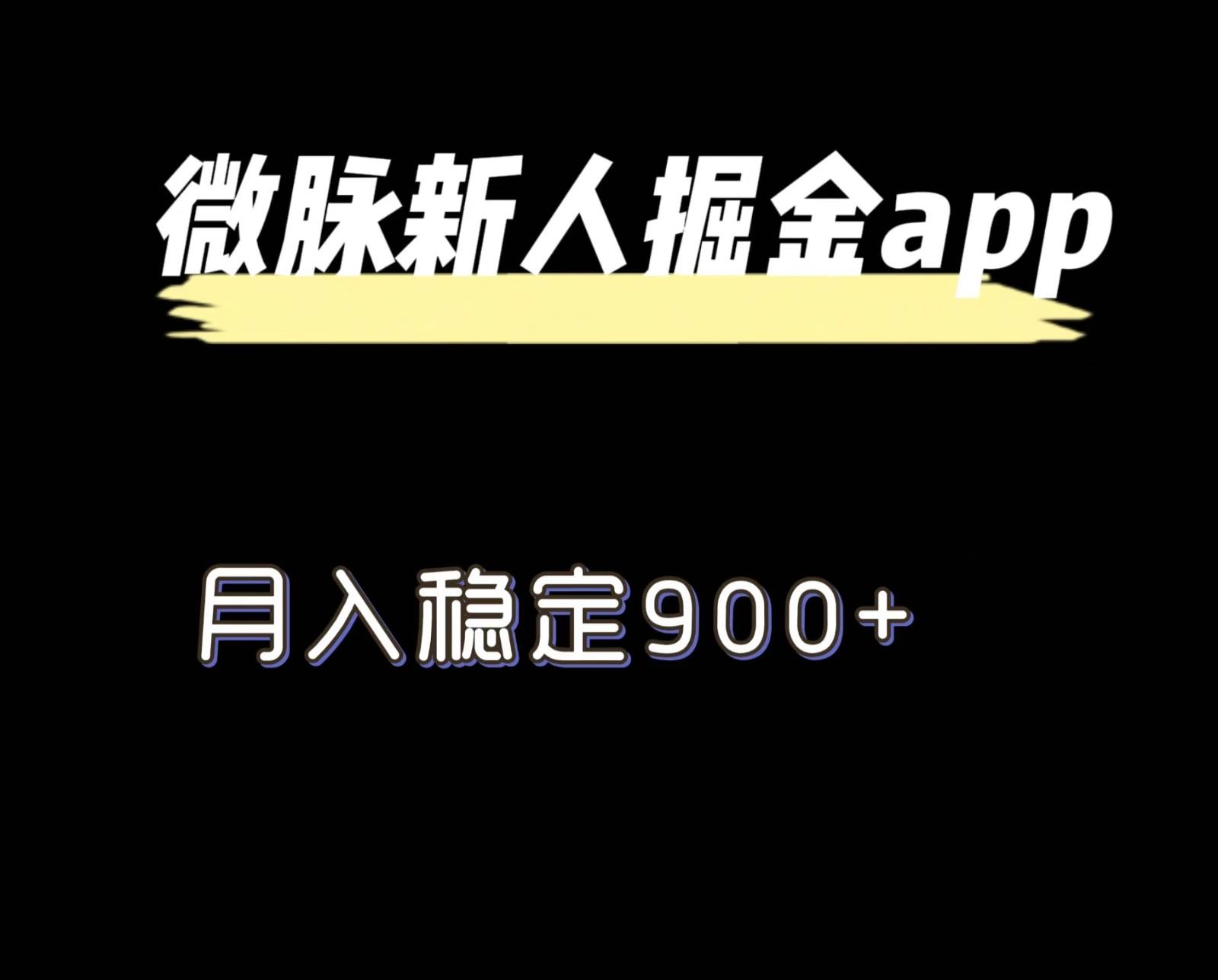 最新微脉长久项目,拉新掘金,月入稳定900+-网创星球