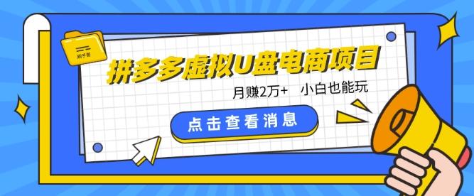拼多多虚拟U盘电商红利项目:月赚2万+,新手小白也能玩