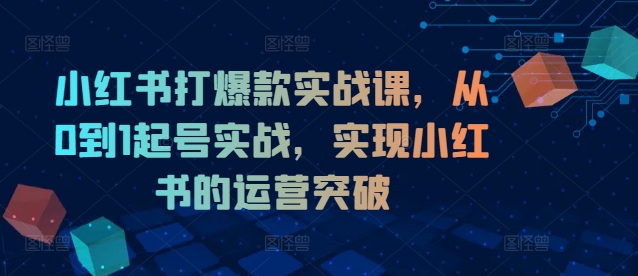 小红书打爆款实战课,从0到1起号实战,实现小红书的运营突破