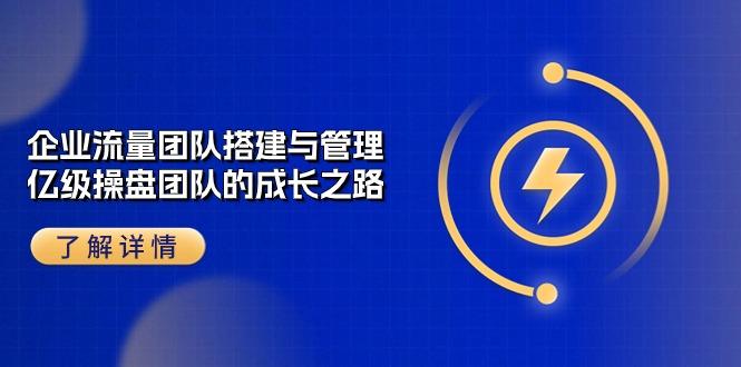 企业 流量团队-搭建与管理，亿级 操盘团队的成长之路(28节课-网创星球