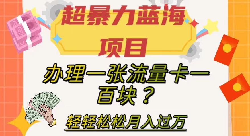 超暴力蓝海项目，办理一张流量卡一百块？轻轻松松月入过万，保姆级教程【揭秘】-网创星球
