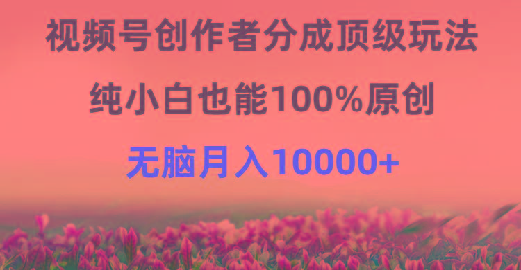 (9608期)视频号创作者分成顶级玩法，纯小白也能100%原创，无脑月入10000+-网创星球