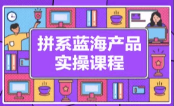 拼系冷门蓝海产品实操课程，从注册店铺到选品上架到流量维护环环相扣-网创星球