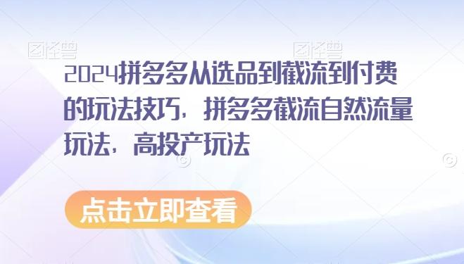 2024拼多多从选品到截流到付费的玩法技巧,拼多多截流自然流量玩法,高投产玩法