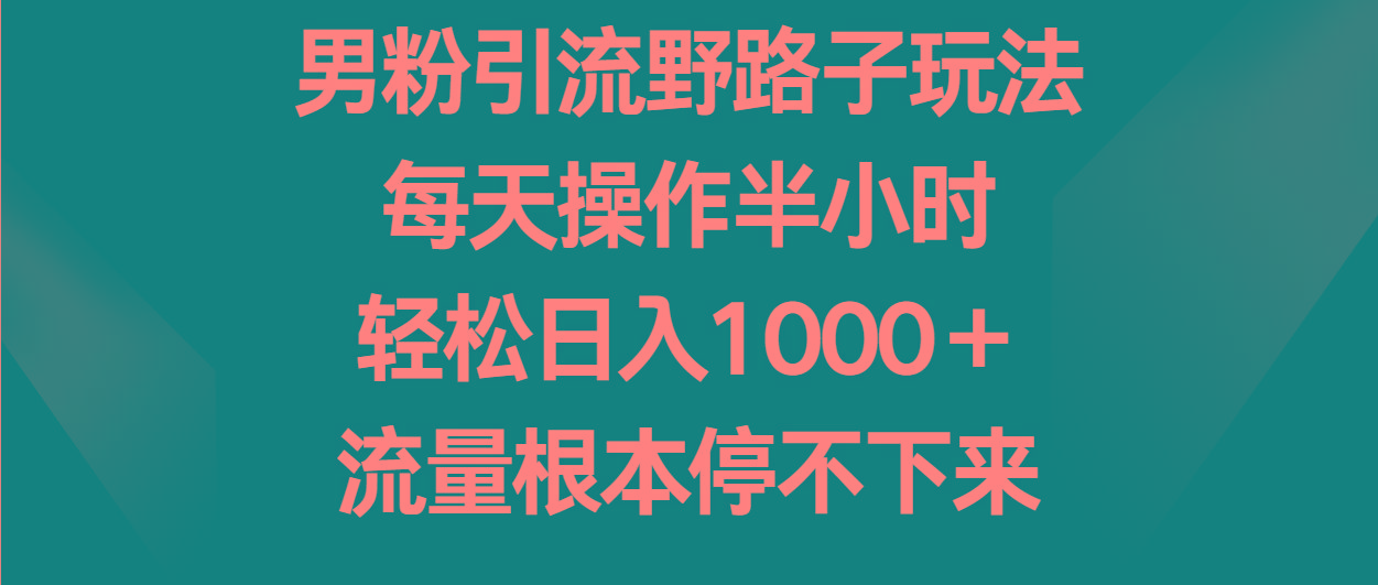 男粉引流野路子玩法,每天操作半小时轻松日入1000+,流量根本停不下来-网创星球