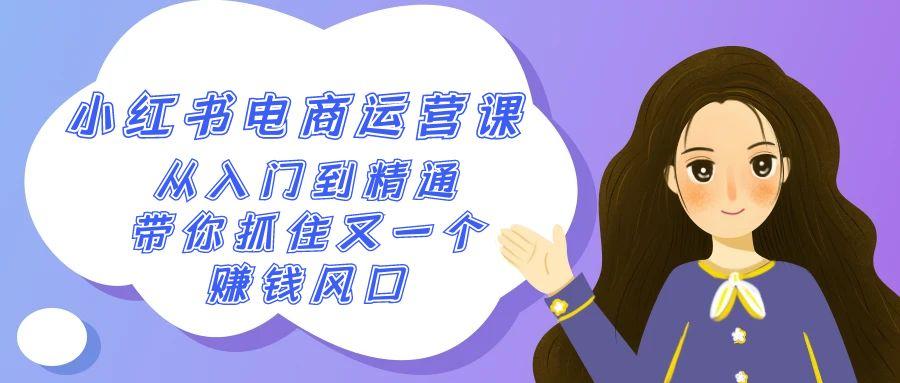 2024小红书电商运营课，从入门到精通，带你抓住又一个赚钱风口(50节课)-网创星球