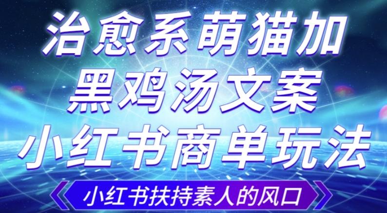 治愈系萌猫加+黑鸡汤文案，小红书商单玩法，3~10天涨到1000粉，一单200左右-网创星球