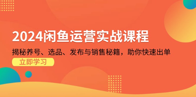 2024闲鱼运营实战课程：揭秘养号、选品、发布与销售秘籍，助你快速出单-网创星球