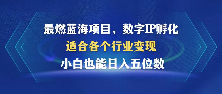 最燃蓝海项目  数字IP孵化  适合各个行业变现  小白也能日入5位数-网创星球