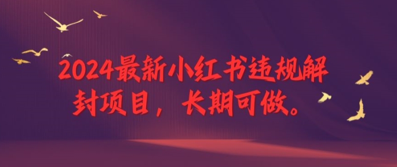 2024最新小红书违规解封项目，长期可做，一个可以做到退休的项目【揭秘】-网创星球